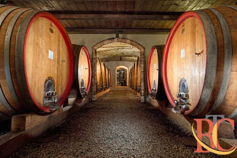 Barolo DOCG: The Iconic Piedmontese Red Wine Experience